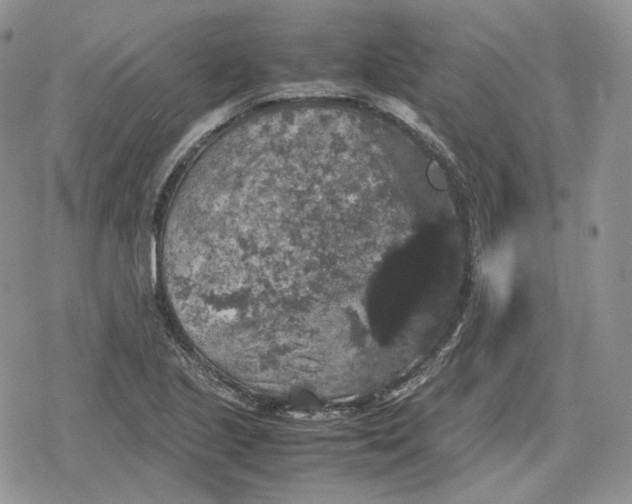 X0000078841221200611271313