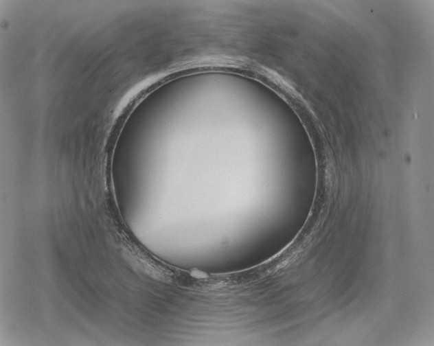 X0000078841222200611271314