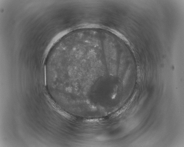 X0000078841223200611271314