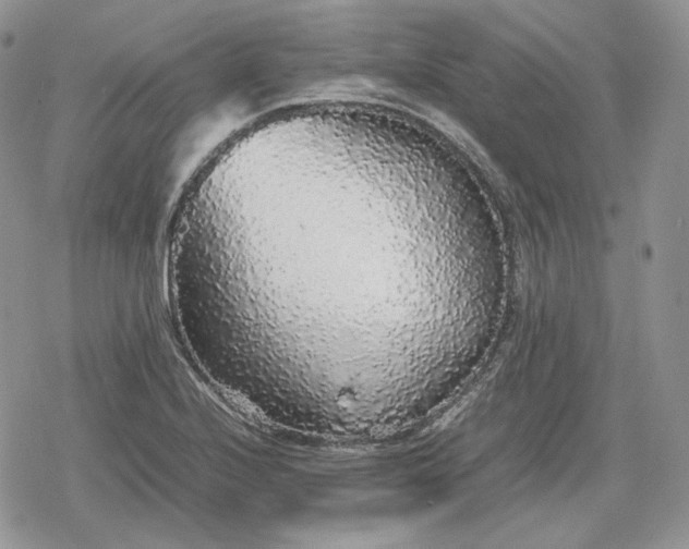 X0000078841224200611271314