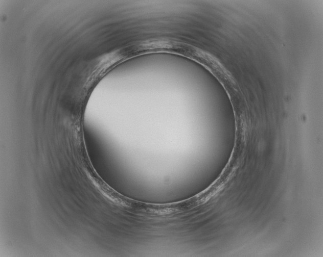 X0000078841225200611271314