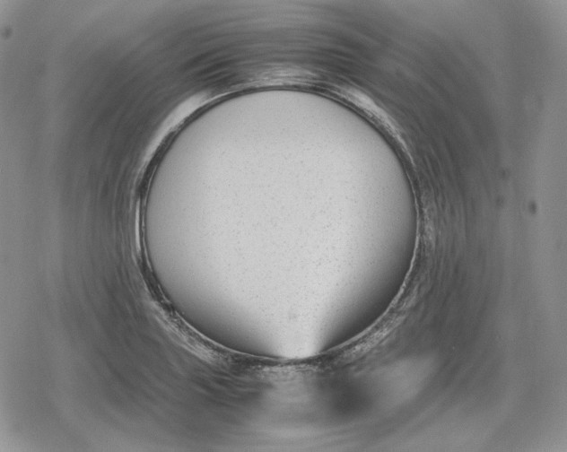 X0000078841227200611271314