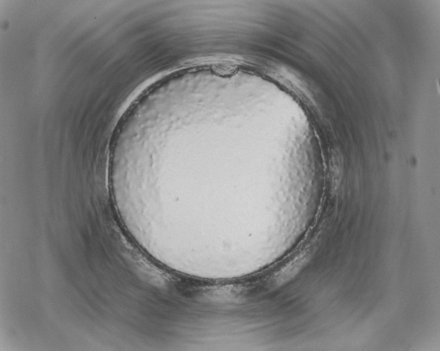 X0000078841228200611271314