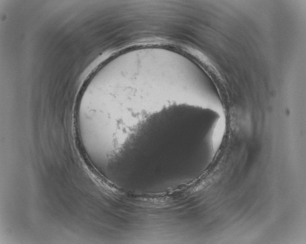 X0000078841229200611271314