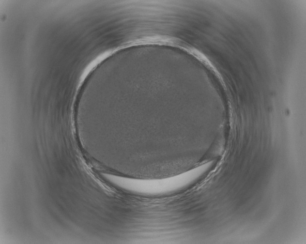 X0000078841230200611271314