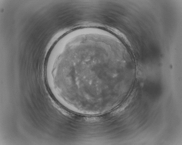 X0000078841231200611271314