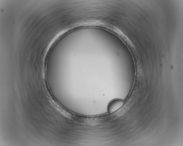 X0000078841232200611271314