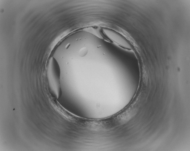 X0000078841234200611271314