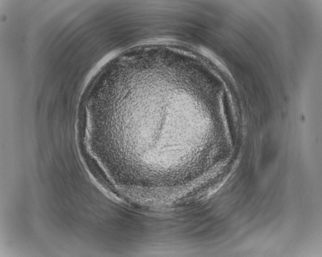 X0000078841237200611271314