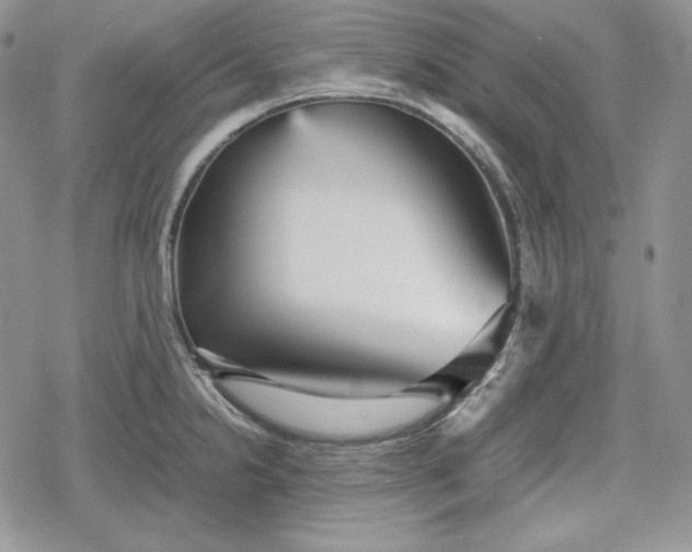 X0000078841238200611271314