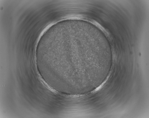 X0000078841240200611271314