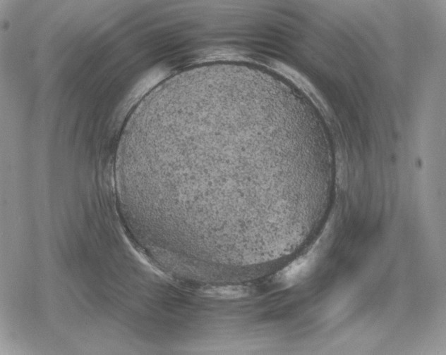 X0000078841241200611271314