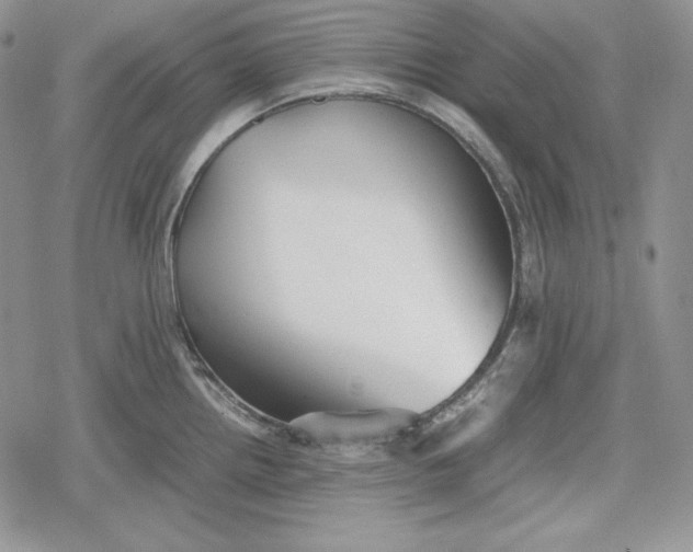 X0000078841242200611271314