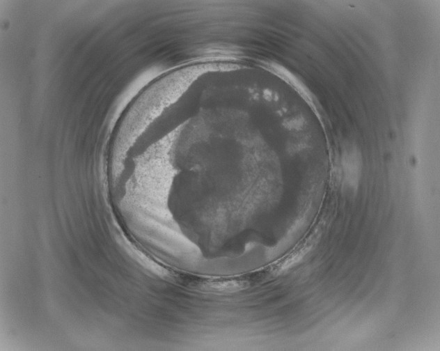 X0000078841243200611271314