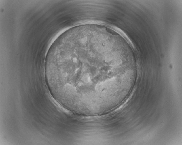 X0000078841244200611271314