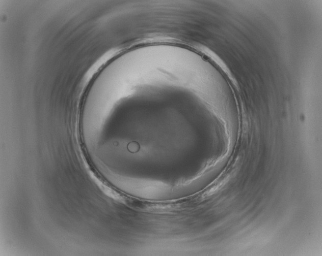 X0000078841245200611271314