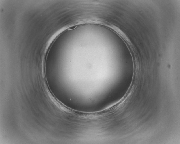 X0000078841246200611271314