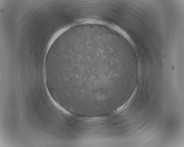 X0000078841247200611271314