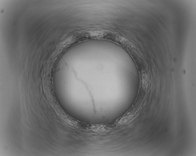 X0000078841249200611271313