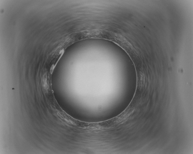 X0000078841250200611271313