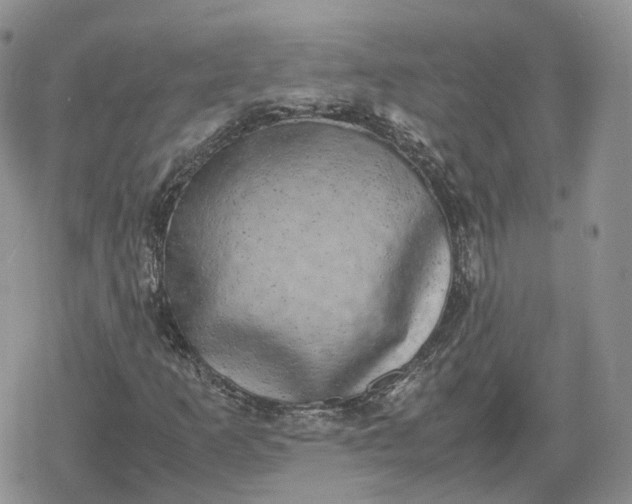 X0000078841253200611271313