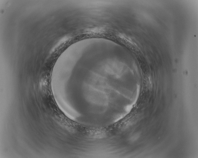 X0000078841254200611271313