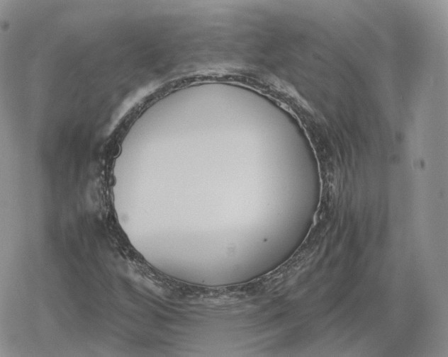 X0000078841256200611271313