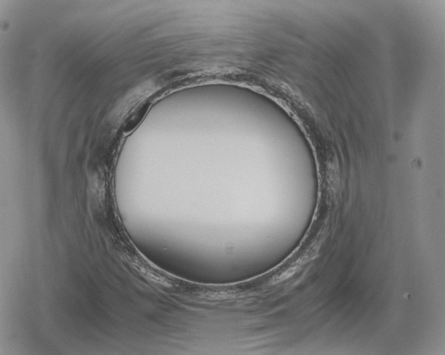 X0000078841257200611271313