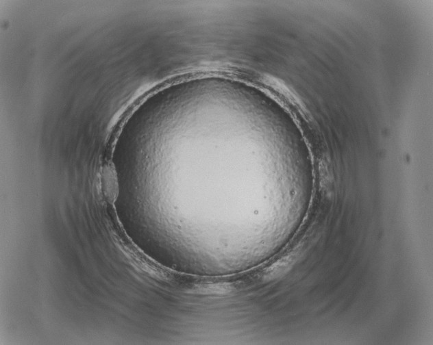 X0000078841260200611271313