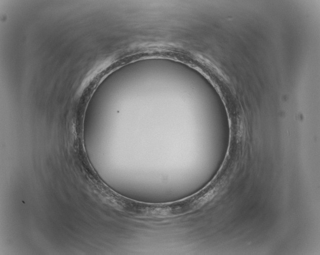 X0000078841261200611271313