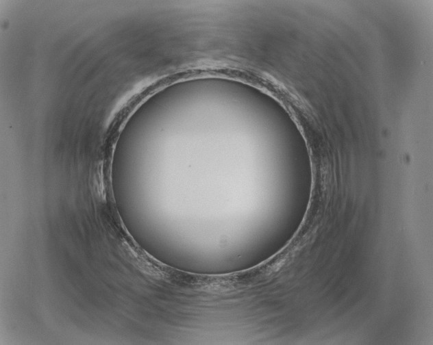 X0000078841262200611271313