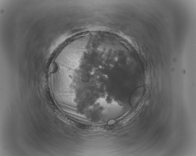 X0000078841263200611271313