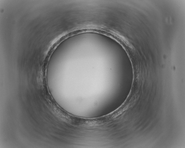 X0000078841264200611271313