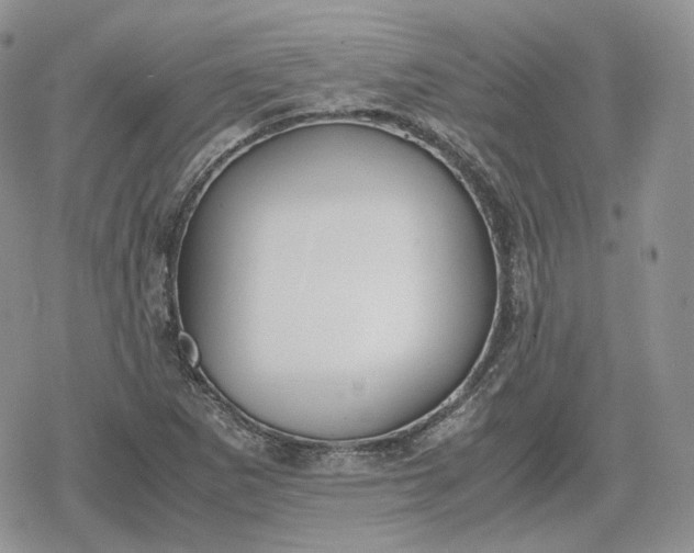 X0000078841265200611271313