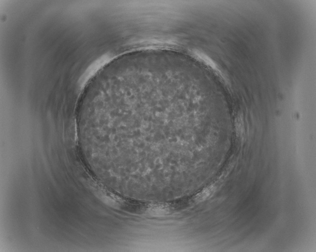 X0000078841267200611271313