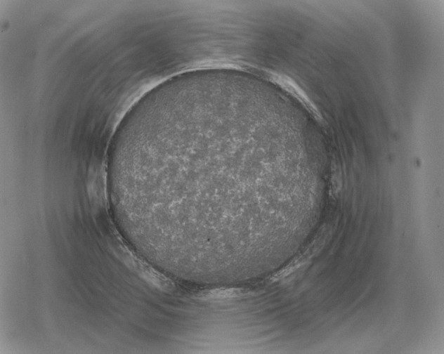 X0000078841268200611271313