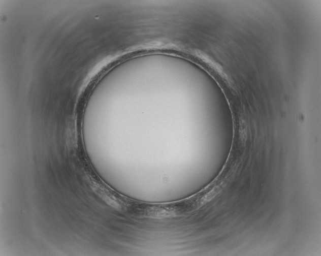 X0000078841270200611271313