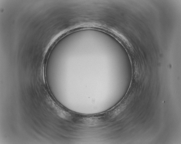 X0000078841272200611271313