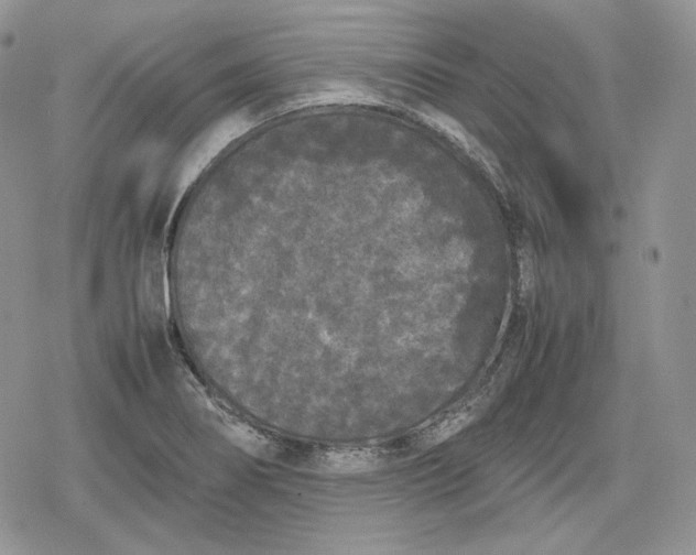 X0000078841274200611271313