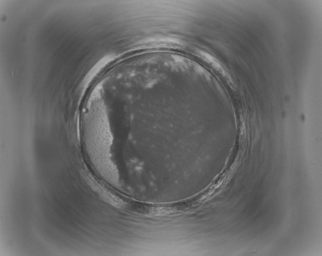 X0000078841275200611271313