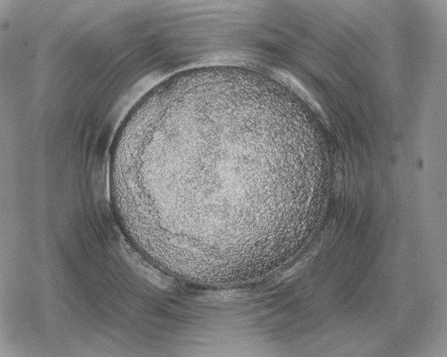 X0000078841276200611271313