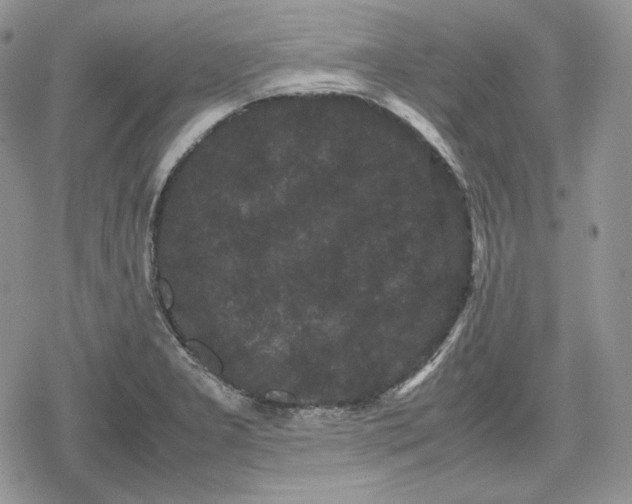 X0000078841277200611271313