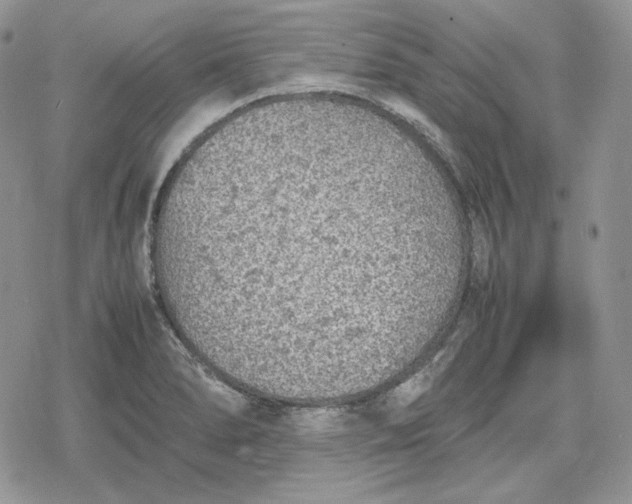 X0000078841278200611271313