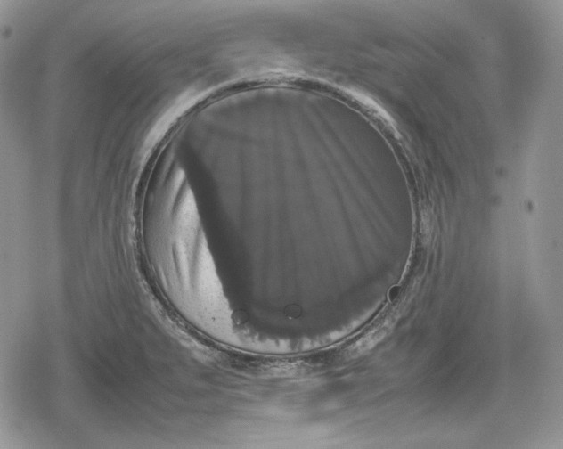 X0000078841279200611271313