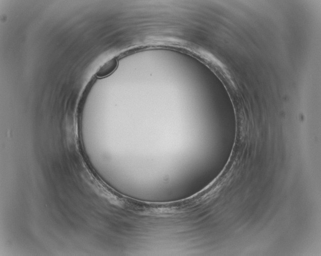 X0000078841280200611271313