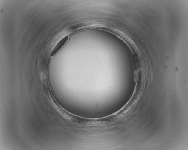 X0000078841281200611271313