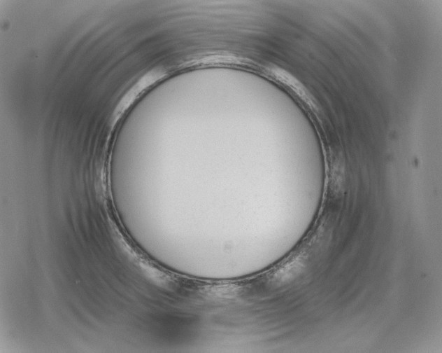 X0000078841282200611271313