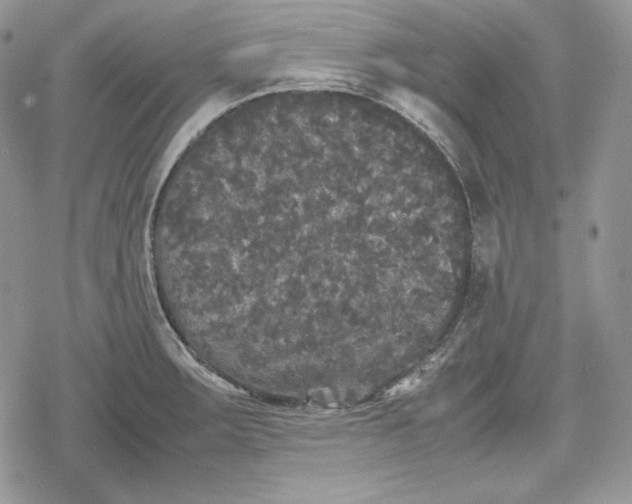 X0000078841283200611271313