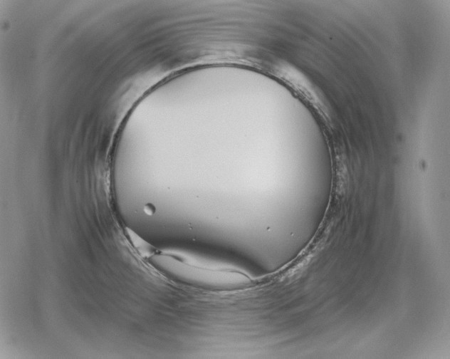 X0000078841284200611271313