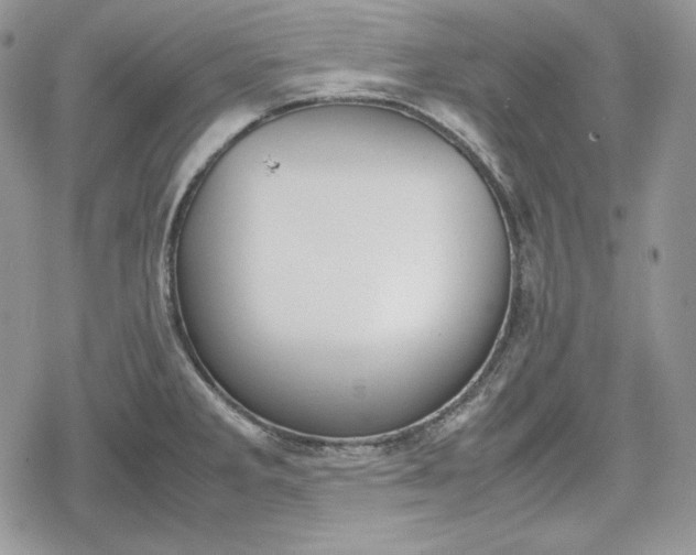 X0000078841285200611271313